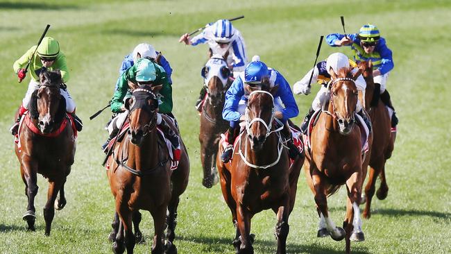 Switching the Cox Plate to a night event would boost its global appeal, according to the MVRC. Picture: Getty Images