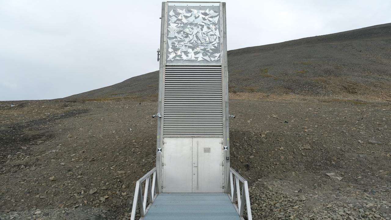 The Global Seed Vault near Longyearbyen hold the world’s seeds in case of a crisis. Picture: Sean Gallup/Getty Images