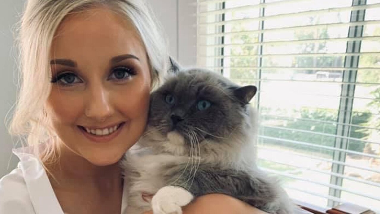 Winner of Dalby's cutest cat for 2023, George the ragdoll! Picture: contributed