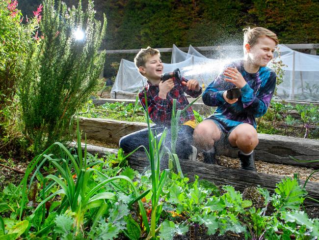 Fox (11) and Jet (13) helping out in the family's vege garden in Macedon. Picture Jay Town