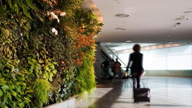 The Qantas lounge at Sydney airport. Membership is at the discretion of Qantas management. Picture: Supplied