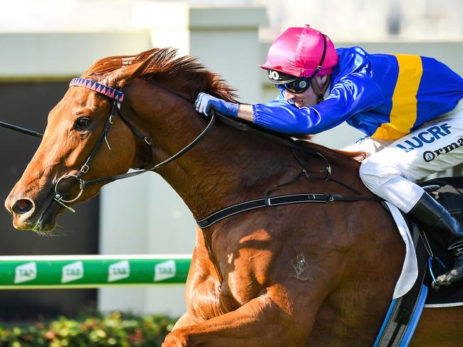 Jockey James Orman rides Gem Of Scotland to victory in Brisbane ON Saturday, September 14. Picture: AAP Image/Albert Perez