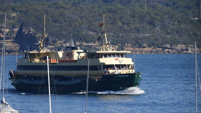 Manly MP James Griffin has vowed to fight to save the iconic Manly ferries. Picture: Bradley Hunter