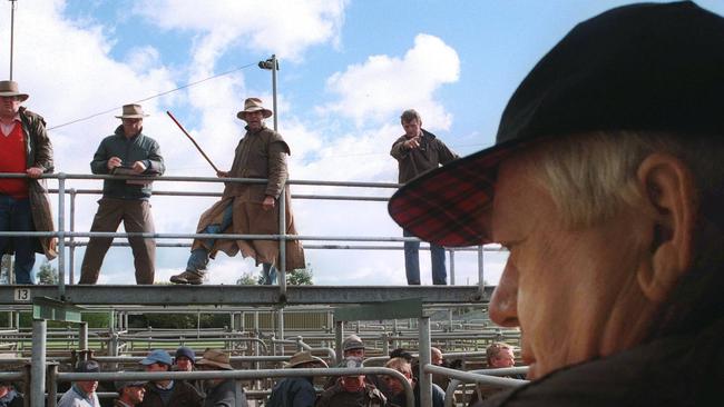 The selling team in action at Camperdown cattle sale 7/5/98.