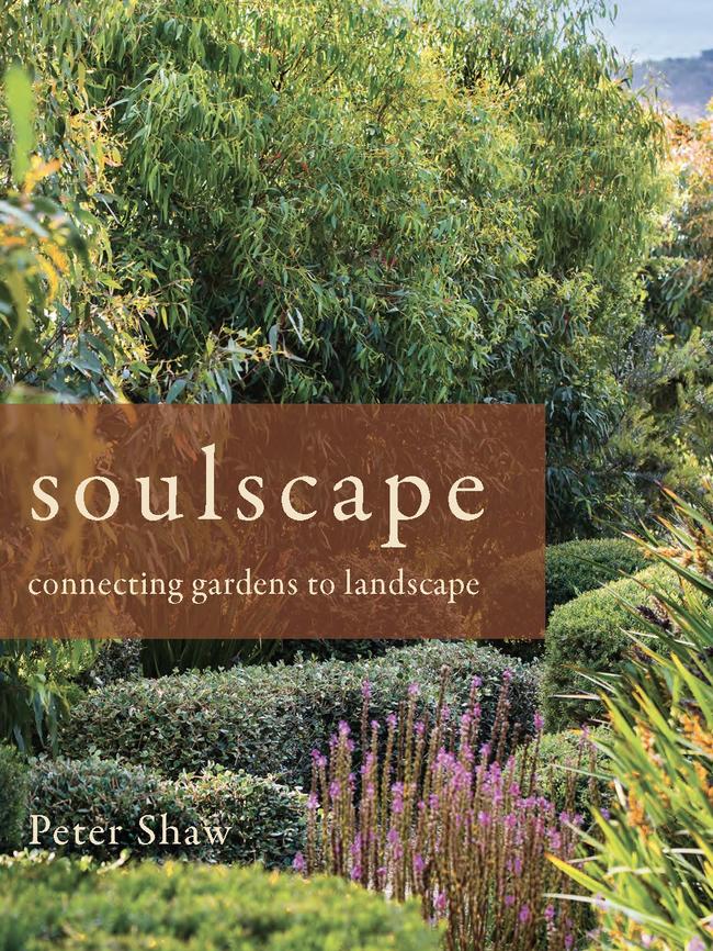 <i>Soulscape</i>