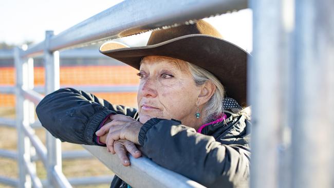 Barmah Brumby Preservation Group volunteers and president Julie Pridmore have built a haven for the Barmah forest’s wild horses. Picture: Zoe Phillips