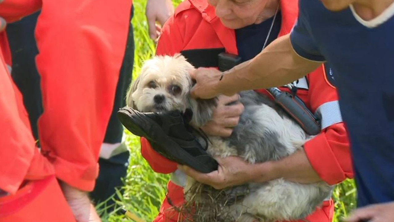 Perth, Wa: Elderly Woman Missing For Three Days Found Alive With Dog By 