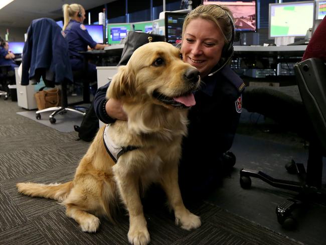 The animals have been of “great benefit” to the call takers Picture: Toby Zerna