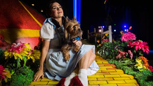 Samantha Dodemaide is playing Dorothy. Picture: Tom Huntley