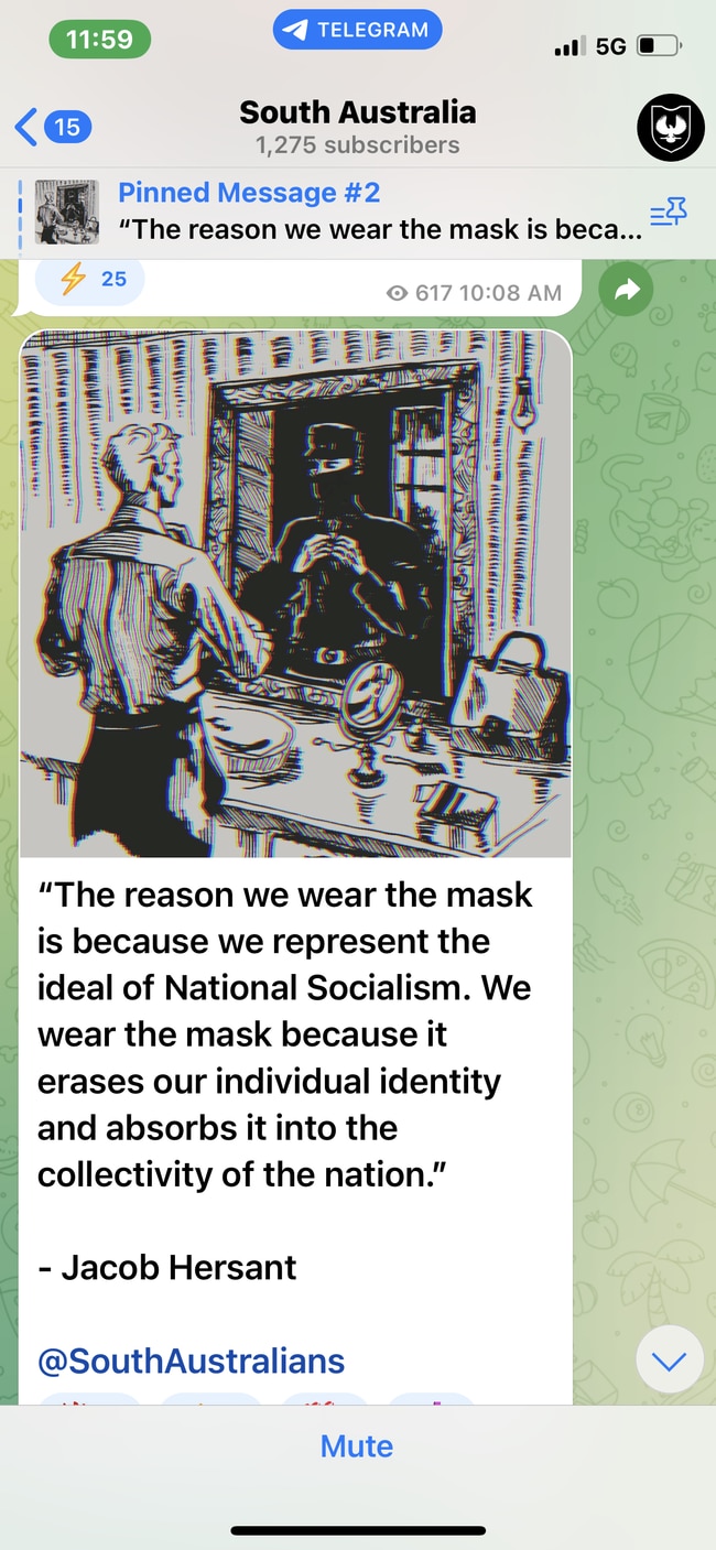 A social media post from an NSN figurehead explaining why masks are enforced as part the group's strict uniform requirements at rallies and events.