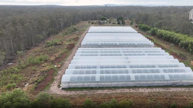 Eleven people charged in relation to a $60 million cannabis grow farm west of Maryborough had their charges mentioned in court in late January 2024.