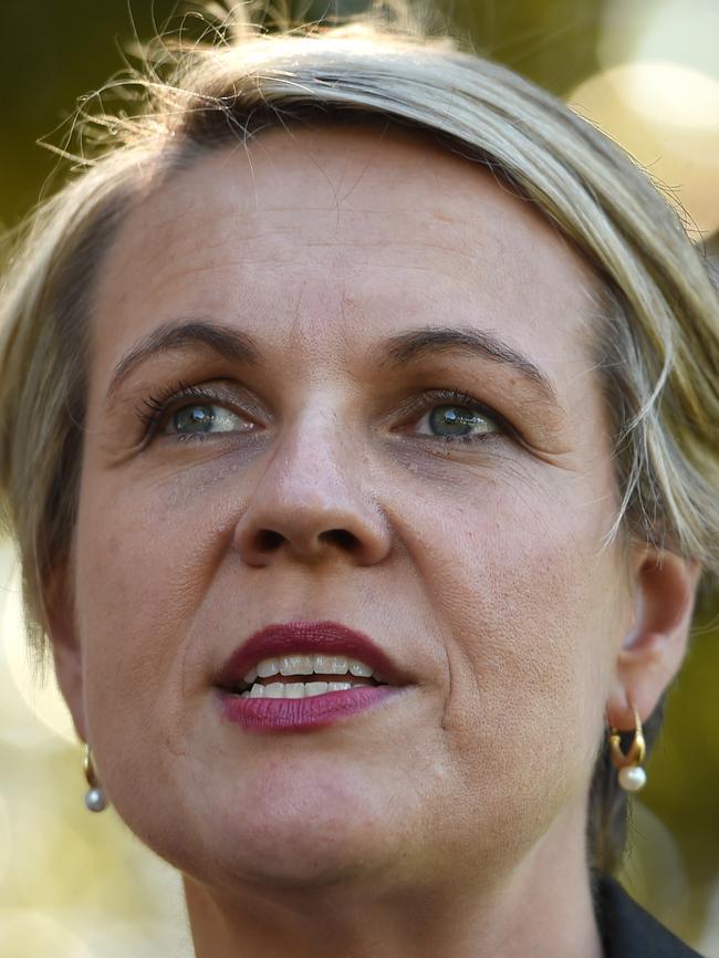 Tanya Plibersek.