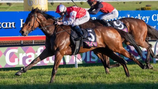 Southern Lad can land another stakes win at Canterbury on Friday night.