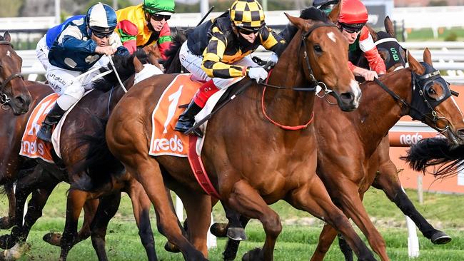 Behemoth claimed back-to-back Group 1 wins over 1400m before securing an Everest slot. Picture: Getty Images