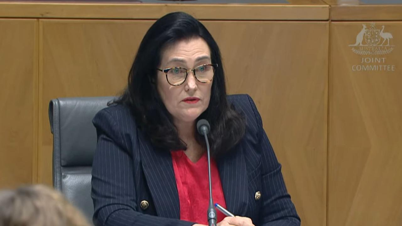 Senator Deb O'Neill at the parliamentary inquiry into consulting firms.