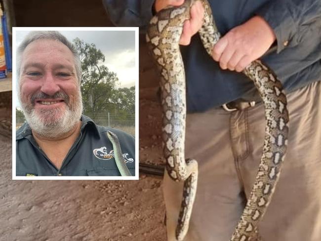 David Voss of Gladstone Region Snake Catchers.