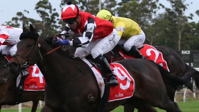 Shayne O'Cass rates Italian Informant hard to beat at Randwick on Saturday. Picture: Grant Guy