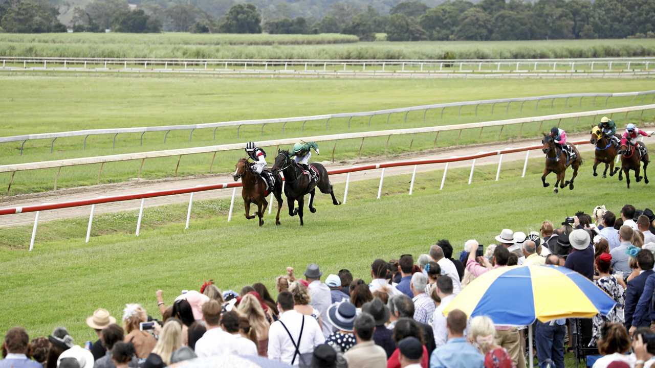 Racecourse primed, field set to delight at Murwillumbah | Daily Telegraph