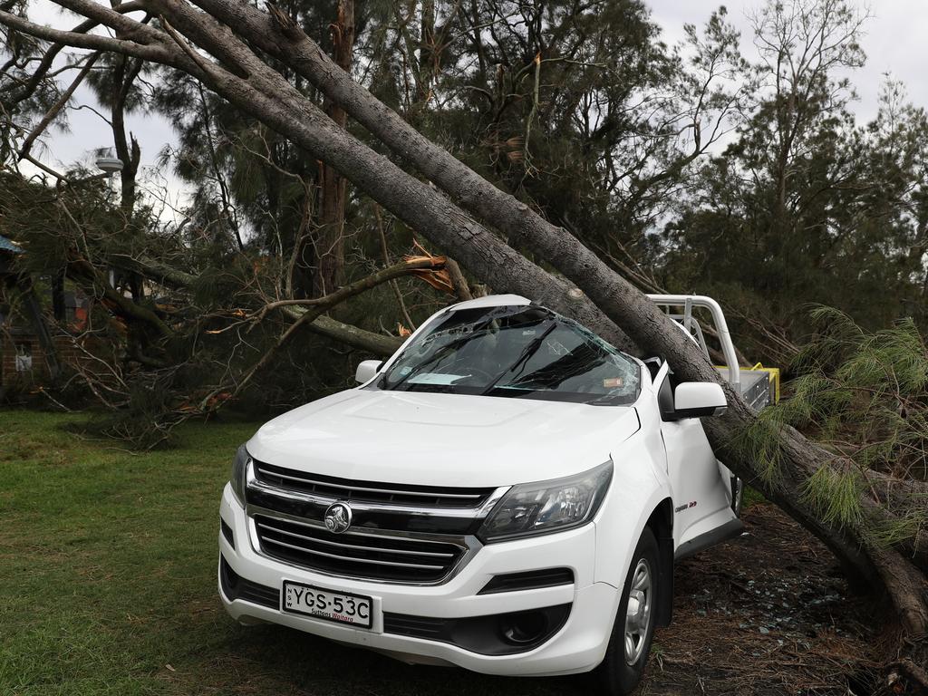 A car crushed after powerful winds pulled trees from their roots. Picture: John Grainger