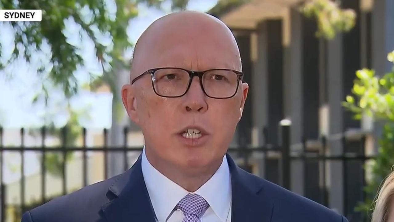 Peter Dutton called on Premier Peter Malinauskas to show leadership and shut down the October 7 pro-Palestinian protests. Picture: Sky News