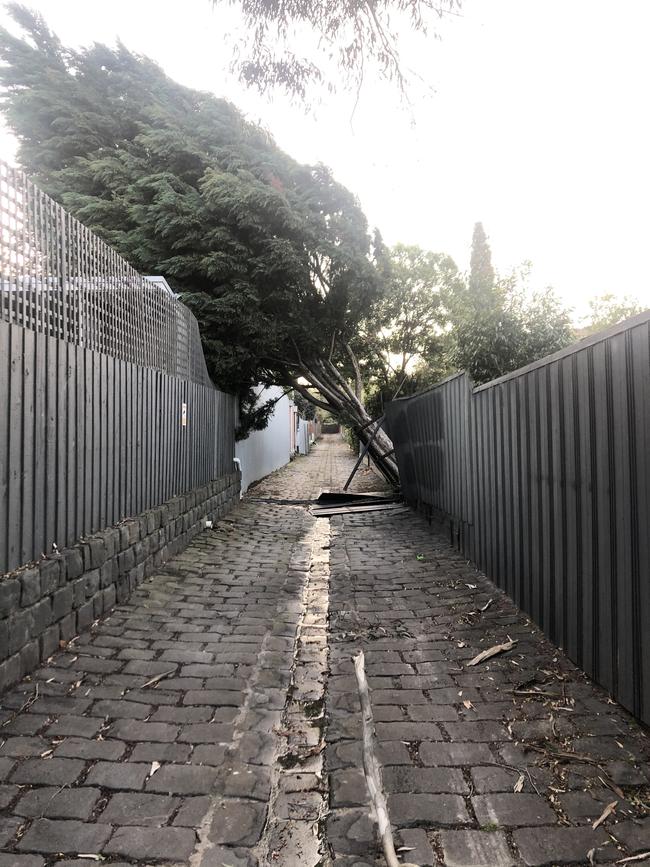 Tree down on a fence in Kew. Reader picture: Danielle Kanatas