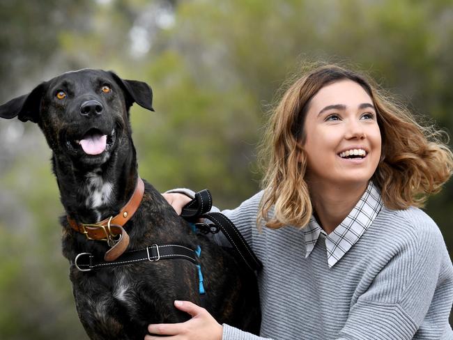 RSPCA MILLION PAWS WALK. Rescue dog Dozer with his original foster mum who is now his official adopter Georgia Morris 22. STORY: The dogÕs previous owners, brothersMichael and Leslie Chittleborough,were convicted in the Mt GambierMagistrateÕs Court two weeks ago oncharges of animal ill treatment. Bothmen were placed on $500, 12 monthgood behaviour bonds, and fined $300each. In addition, Leslie was orderedto pay $1400 and Michael was orderedto pay $830 towards DozerÕsrehabilitation care.DozerÕs new owner, Georgia Morris,initially took the dog into foster care Ðthe first time she had volunteered for the role with the RSPCA SA. Picture: Tricia Watkinson.