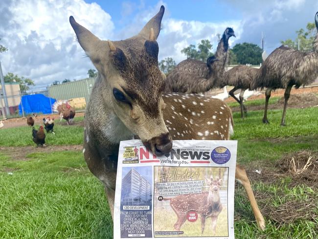 Elliot the deer and his front page. Picture: Supplied