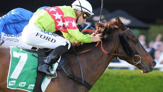 Zayam looks ready to give Esteban a run for his money at Rosehill. Picture: Simon Bullard