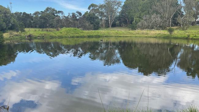 A new housing development requires the filling in of a dam.