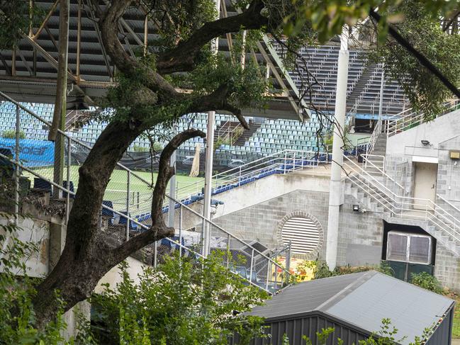 The overgrown site as it appears today. (AAP/Image Matthew Vasilescu)