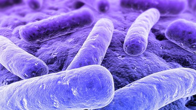 Health authorities are increasingly worried about difficult to treat bacteria. Picture: Sebastian Kaulitzki