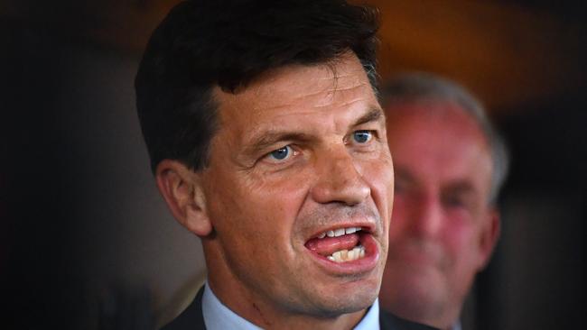 At least one of the ­donations was made while ­current Energy Minister Angus Taylor was listed as a director of the company’s parent company, Eastern Australia Irrigation.