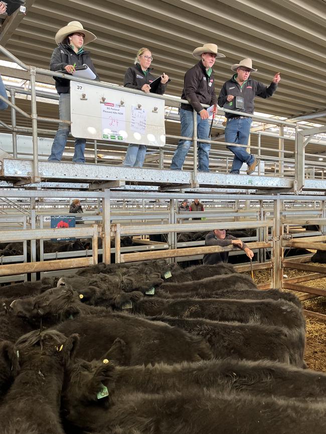 Selling action at the Wodonga store cattle sale.