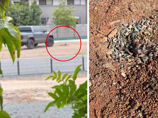 Man fined after running over plover nest Picture: Queensland Parks and Wildlife Service