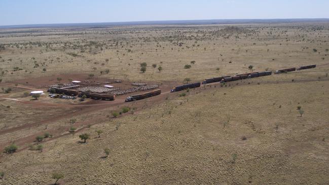 Wave Hill station ... one of the Northern Territory’s most famous cattle properties is for sale