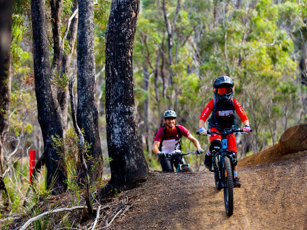 Pioneer Valley Mountain Bike Trails.