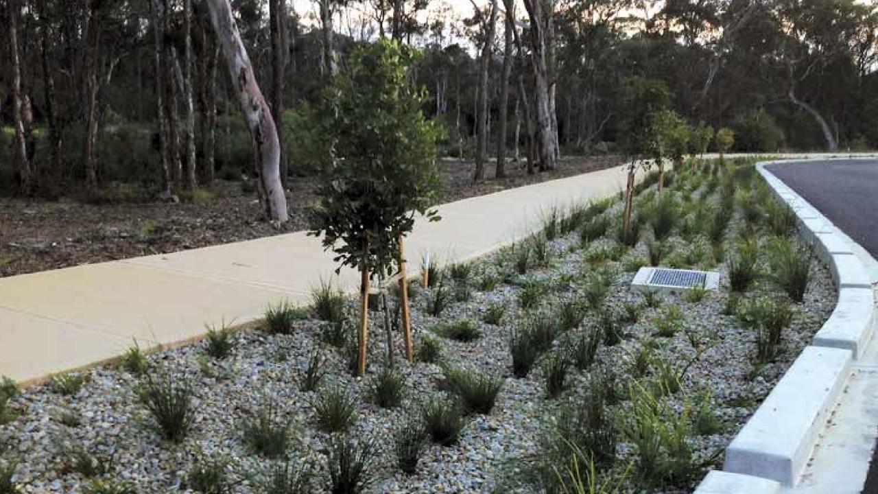 Rain gardens serve an important function by filtering pollutants out of water before it hits stormwater systems.