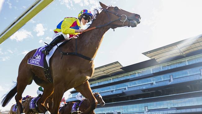 Ashman is already a winner at Randwick (pictured) and heads into the Group 1 Epsom off a tough win in the Cameron at Newcastle. Picture: Getty Images