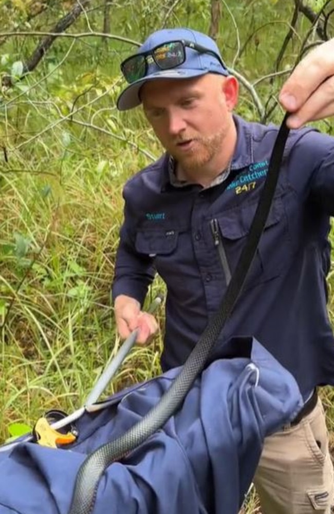 He released it into the wild. Picture: TikTok/@sunnycoastsnakecatchers