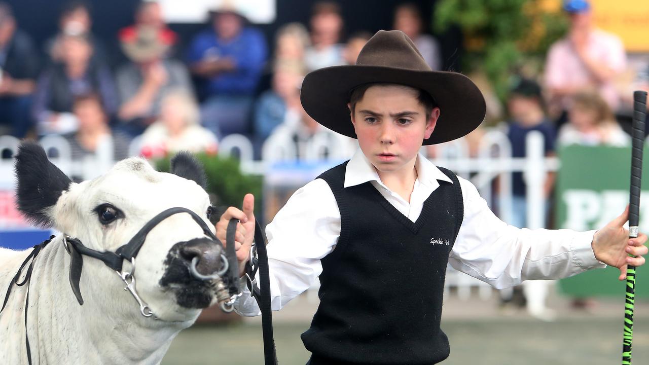 Jack Ellis, 13, Hanging Rock Speckle Park at the Royal Melbourne Show. Picture: Yuri Kouzmin