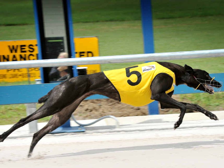 Casino Greyhound Racing Club