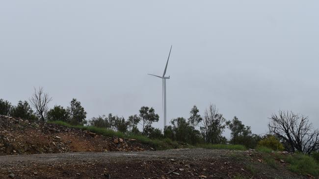 The expansive $2B MacIntyre Wind Farm Precinct is vast and impressive (Photo: NRM)