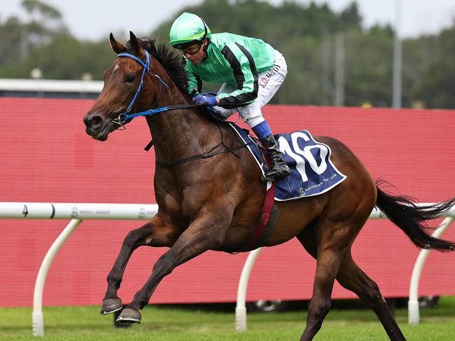 SYDNEY, AUSTRALIA - JANUARY 18: Kerrin McEvoy riding Shohisha  win Race 4 Midway during Sydney Racing at Rosehill Gardens Racecourse on January 18, 2025 in Sydney, Australia. (Photo by Jeremy Ng/Getty Images)