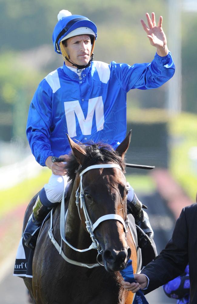 Mighty mare Winx faces her stiffest test on Saturday. Picture: Simon Bullard