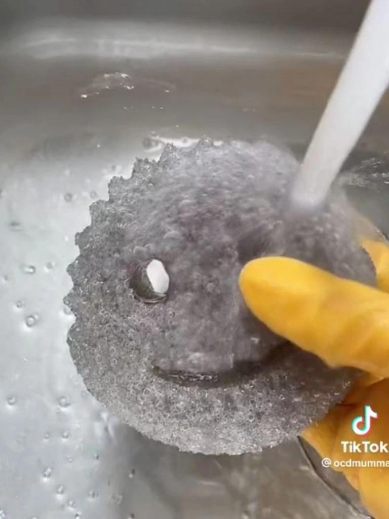 Scrub Daddy has gotten billions of views on TikTok. Picture: TikTok/@ocdmumma.