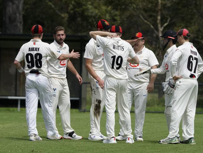 Beaumaris players celebrate a wicket. Picture: Valeriu Campan