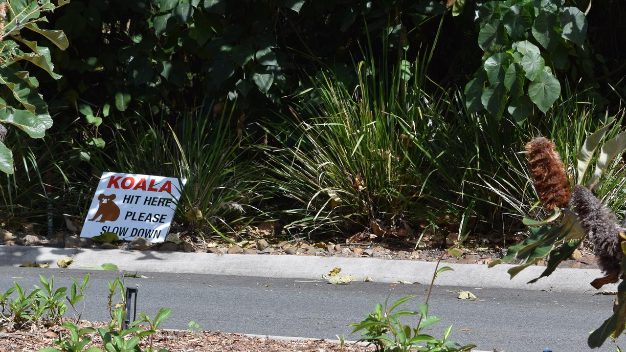 One of the koala signs erected near the RACV Resort in Noosa.