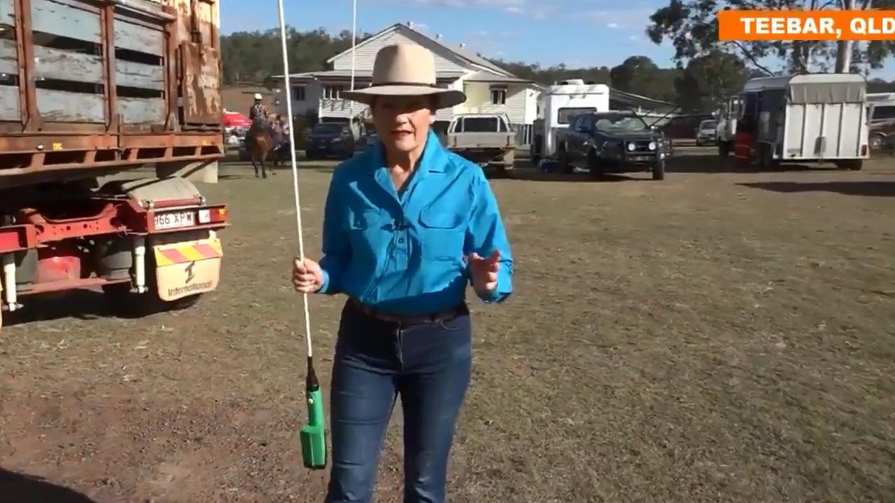 Pauline Hanson wants police to use cattle prods on Australian citizens. Picture: Twitter