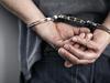 Alleged luggage stealing immigration detainee given bail