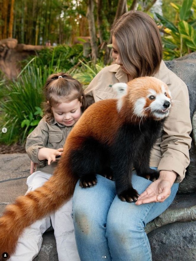 Many thought the panda was too cute to be believed. Picture: Kate Berry